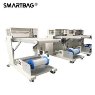 Automatic Case Packer Machine